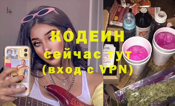 шишки Балахна