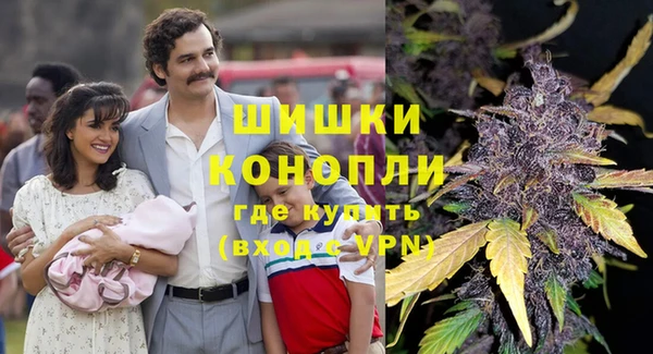 шишки Балахна
