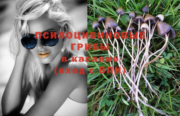 а пвп мука Баксан