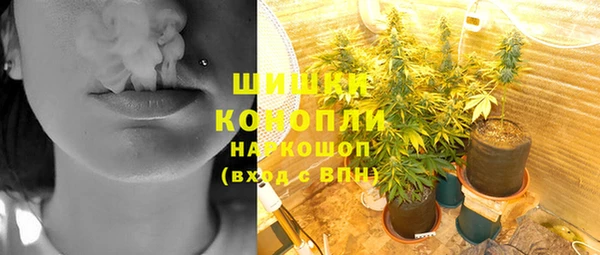 шишки Балахна