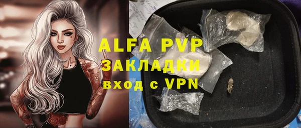 шишки Балахна